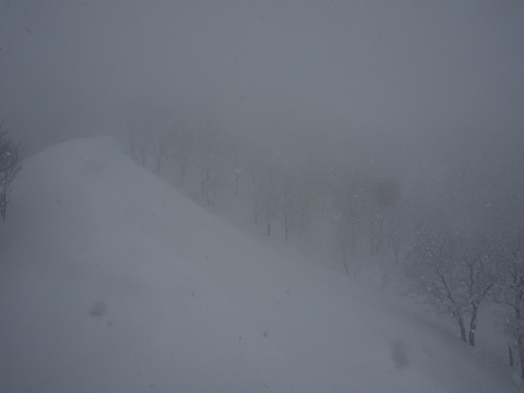 20180204_54