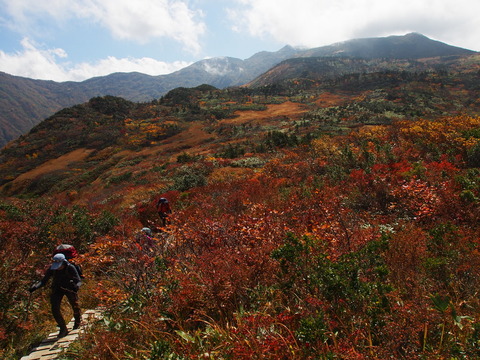 PA090356(1)