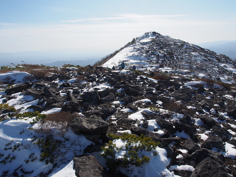 PB260031(1)