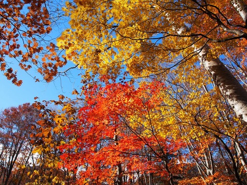 20181028_16
