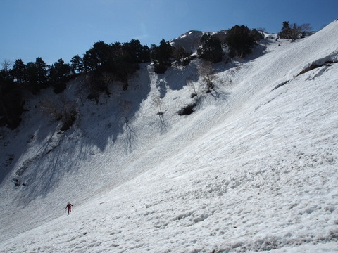 P5070045(1)