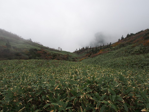 PA130048(1)