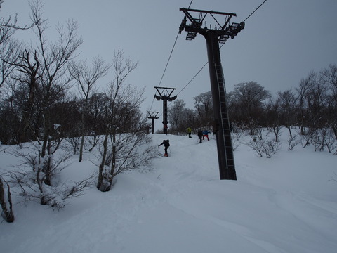 PC030017(1)