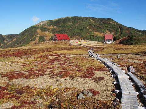 PA080126(1)