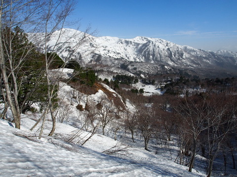 P5070038(1)