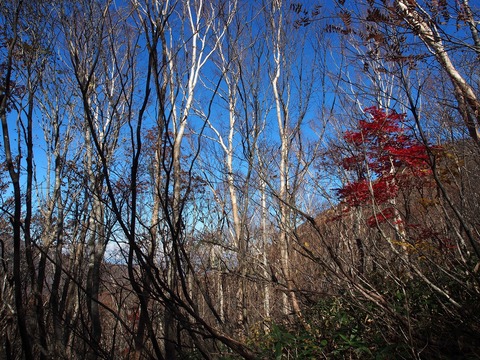 20181028_23