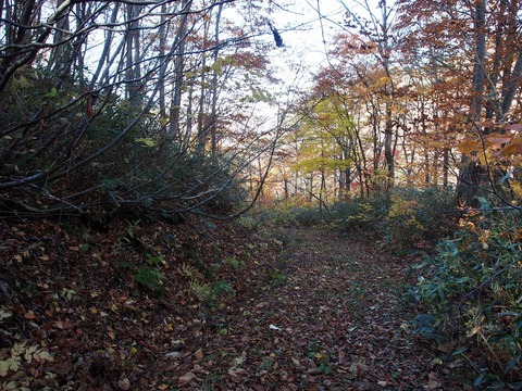 20181028_88