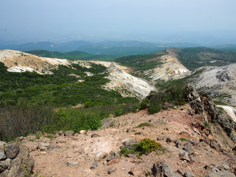 P5310062(1)