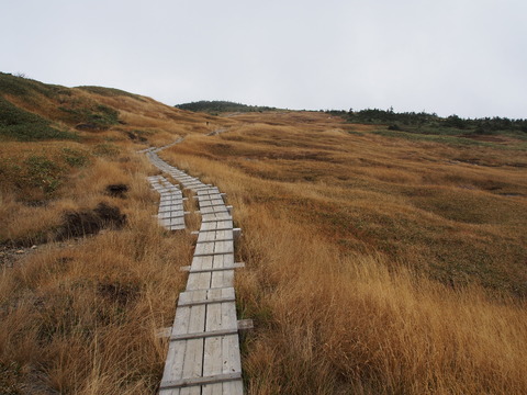 PA130044(1)