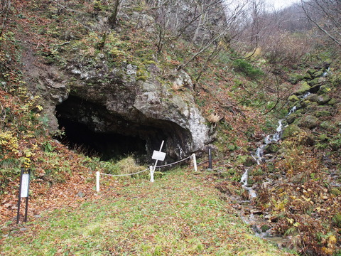 PB050019(1)