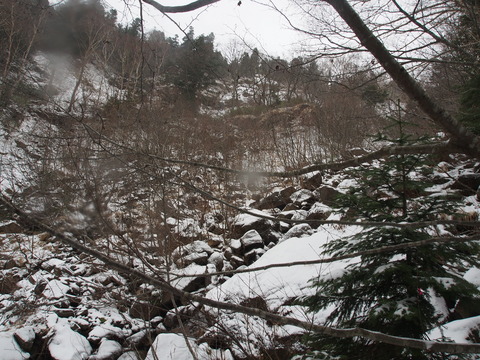 PB120032(1)