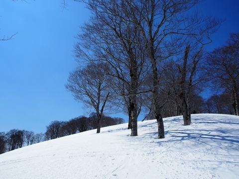 20180325_41