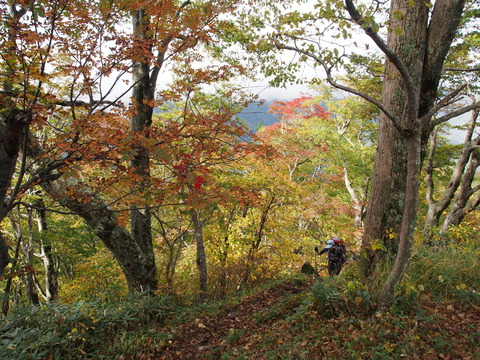 PA080033(1)