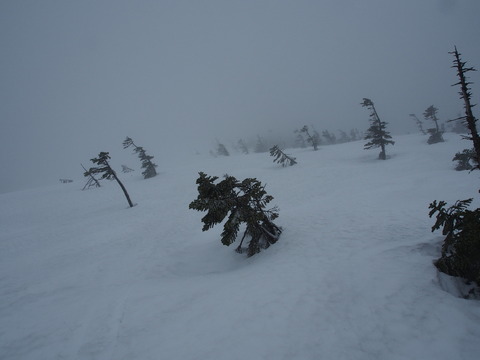 P4090011(1)