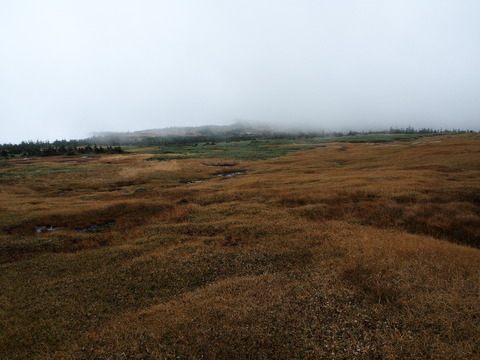 PA130045(1)