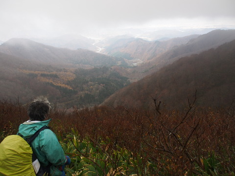 PB050031(1)