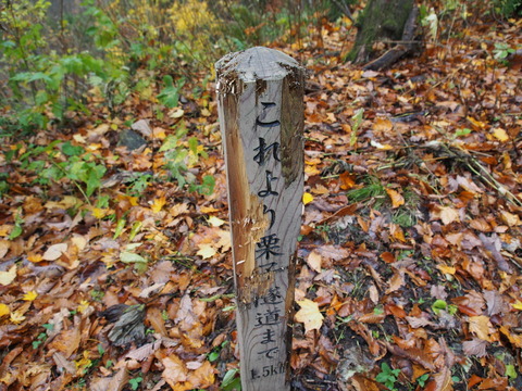 PB050015(1)