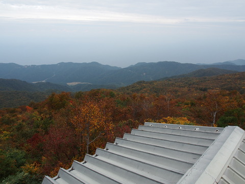 PA100470(1)