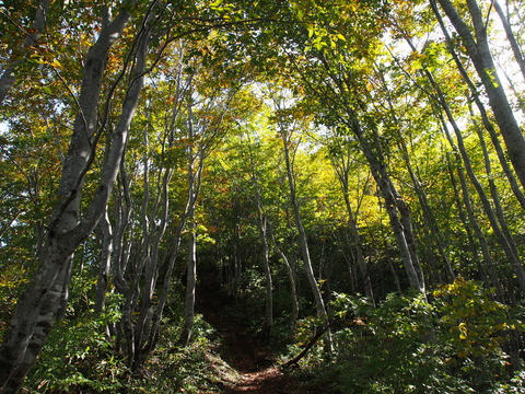 PA080017(1)