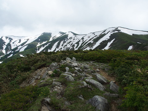 P6170042(1)