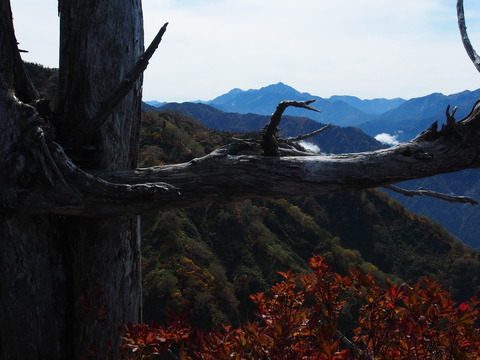 PA080078(1)
