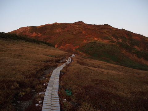 PA080165(1)