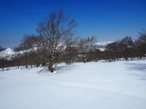 P4050007(1)