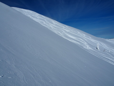 P1290076(1)
