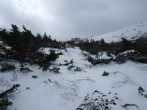 PB190041(1)