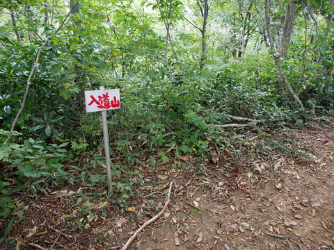PA100496(1)