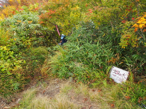 PA090389(1)