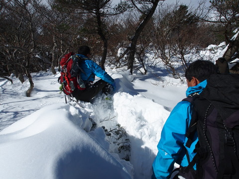 PB260043(1)