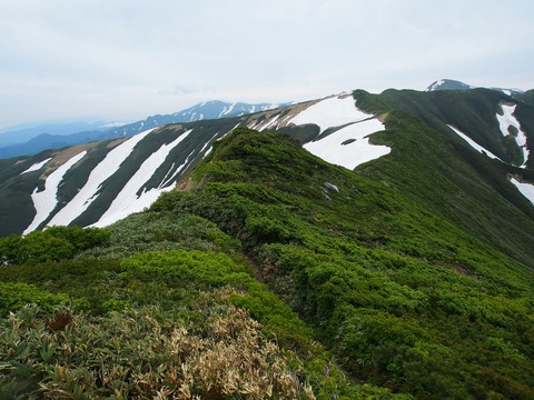 20180618_247