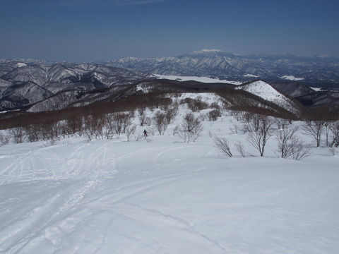 P4050037(1)