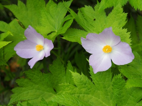 20180618_259