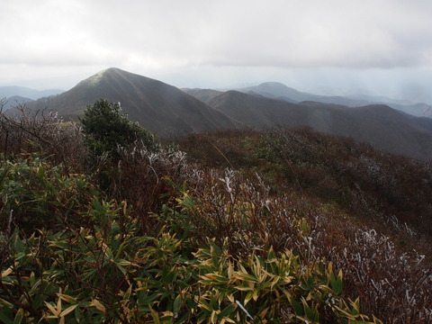 PB050043(1)