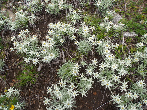 P6170113(1)