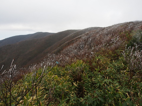 PB050041(1)