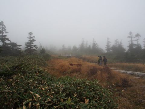 PA130003(1)
