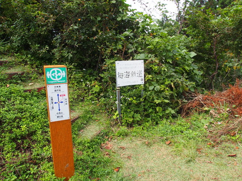 PA100495(1)