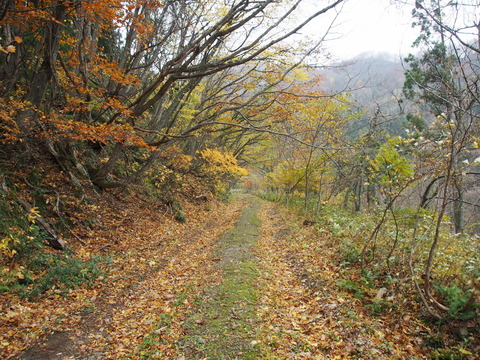 PB050014(1)