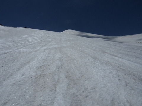 P5070048(1)