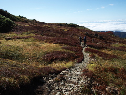 PA080123(1)