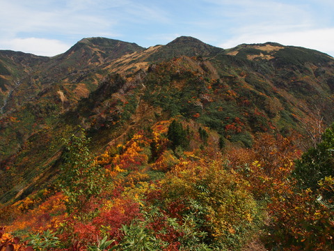 PA080077(1)