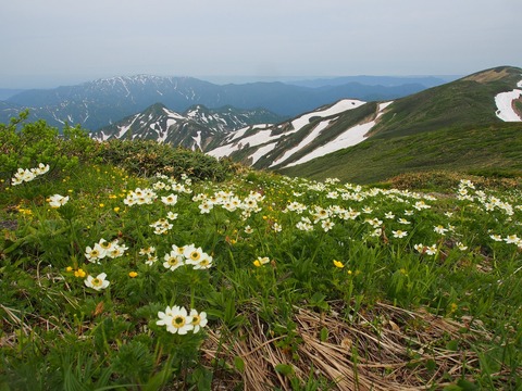 20180618_219