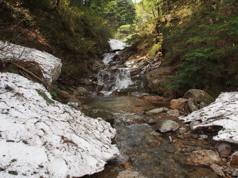 P5310011(1)
