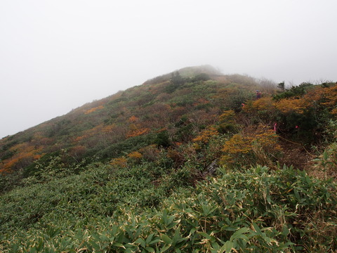 PA130047(1)