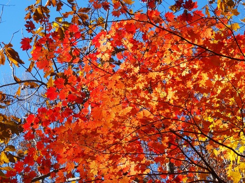 20181028_15