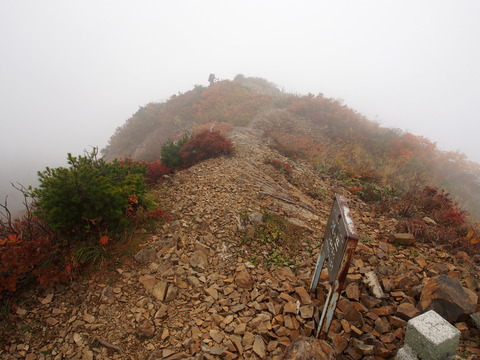 PA090405(1)