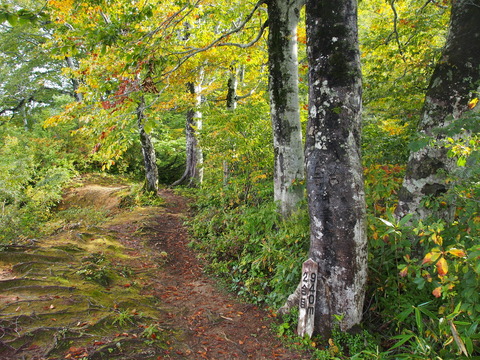 PA080009(1)